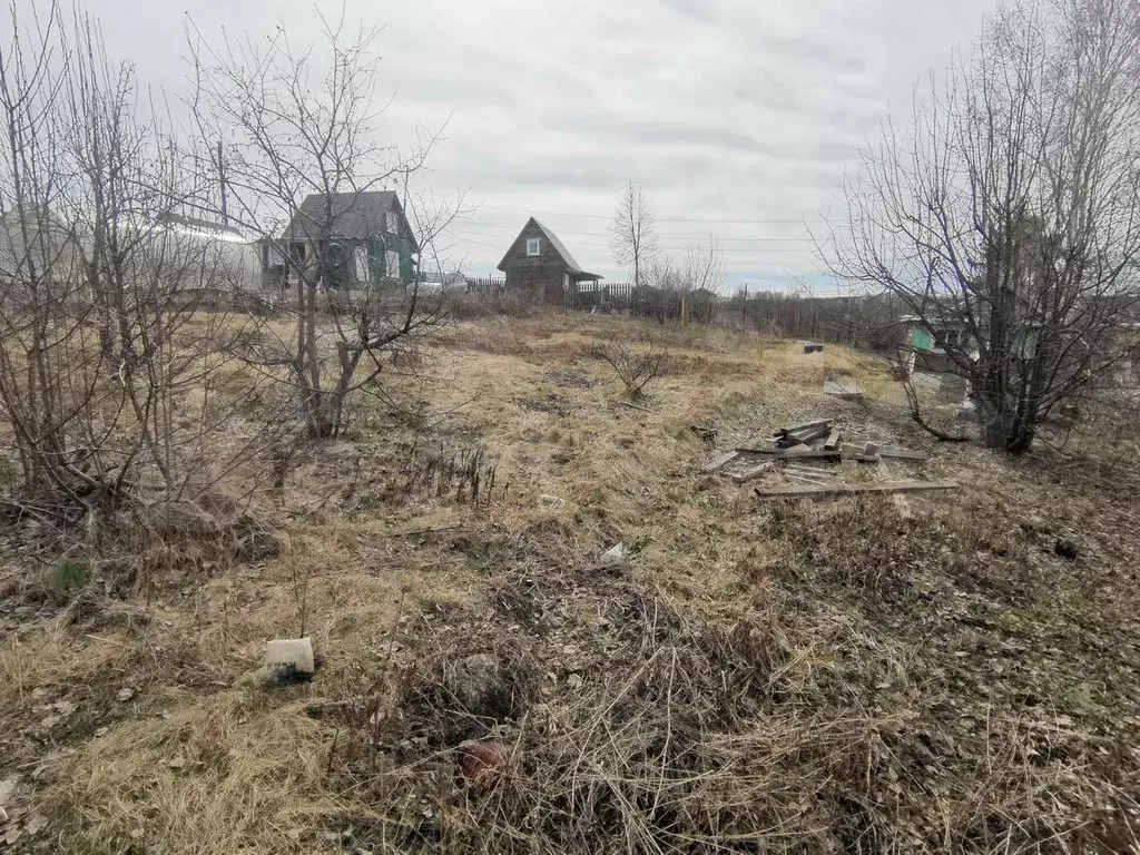 Участок 6,5 сот. (СНТ, ДНП) - Фото 1