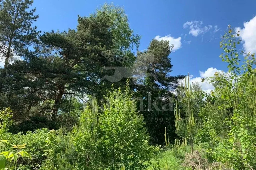 Участок в Московская область, Одинцовский городской округ, д. ... - Фото 1