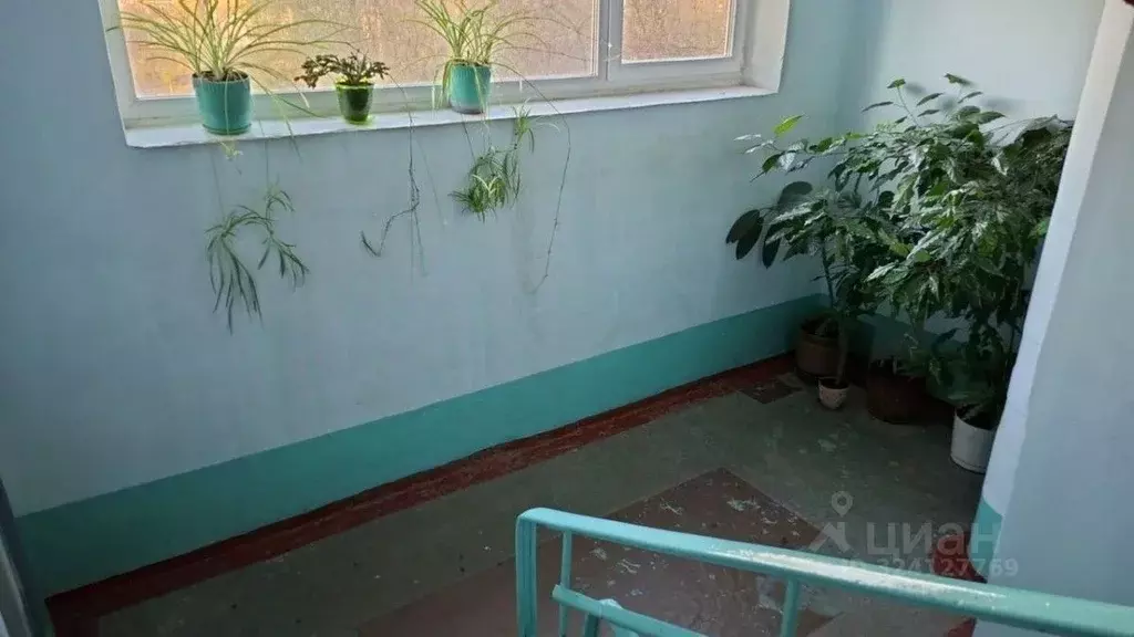 1-к кв. Омская область, Омск Московка-2 мкр, ул. Ярослава Гашека, 1 ... - Фото 2