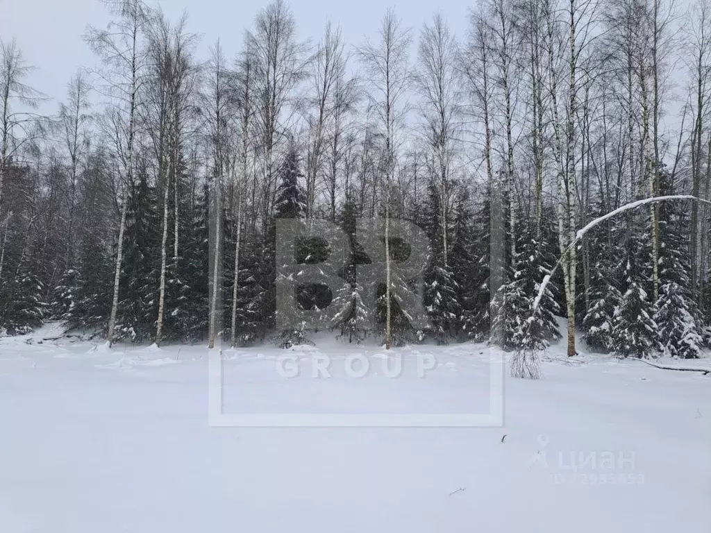 Участок в Ленинградская область, Всеволожский район, Лесколовское ... - Фото 0