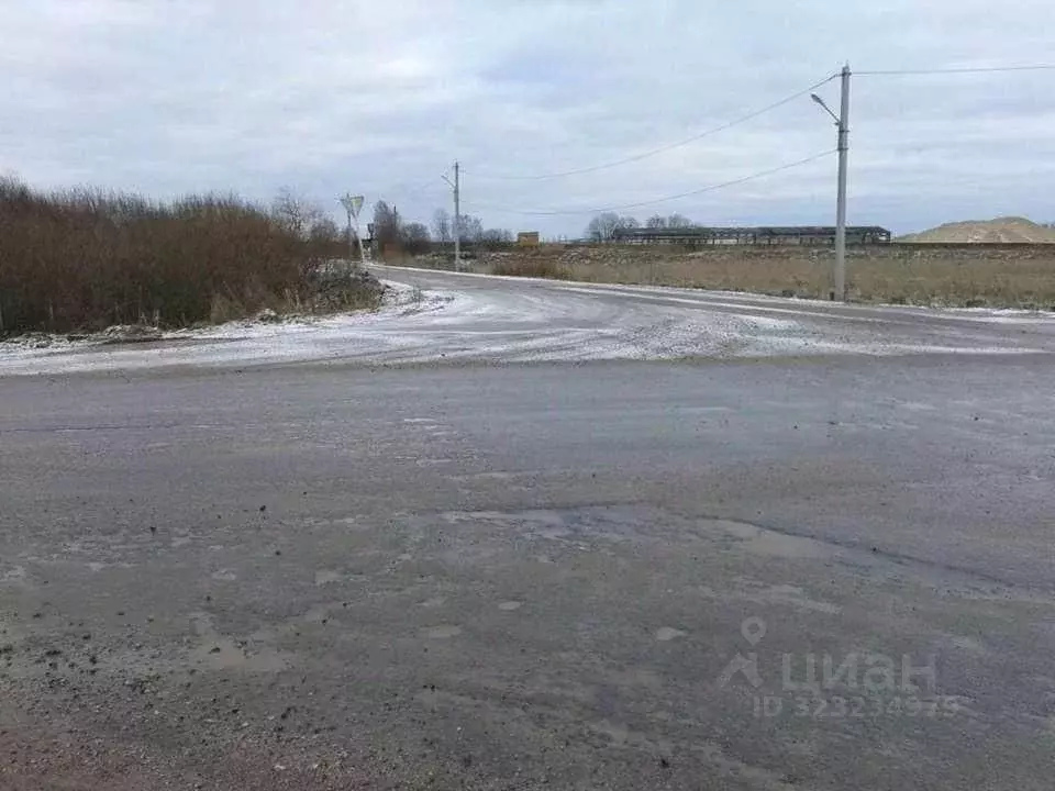 Участок в Псковская область, Псковский район, Тямшанская волость, д. ... - Фото 2
