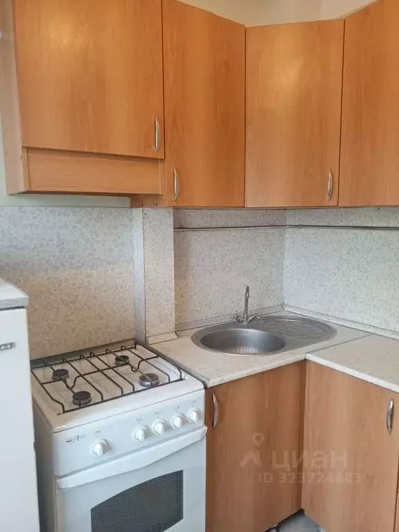 1-к кв. Волгоградская область, Волгоград ул. Чебышева, 50 (31.0 м) - Фото 1