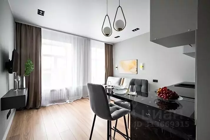 1-к кв. Санкт-Петербург ул. Шкапина, 22 (25.0 м) - Фото 0