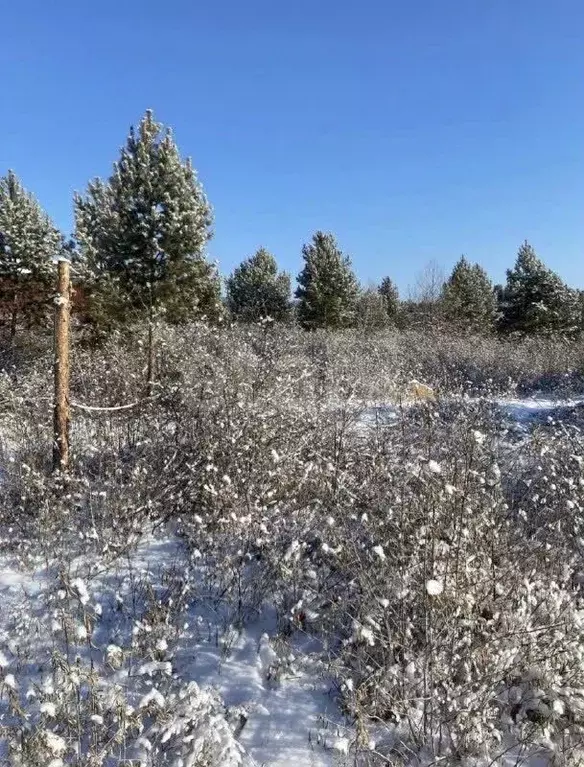 Участок в Бурятия, Улан-Удэ ул. 2-я Боярская Слобода, 13 (8.0 сот.) - Фото 1