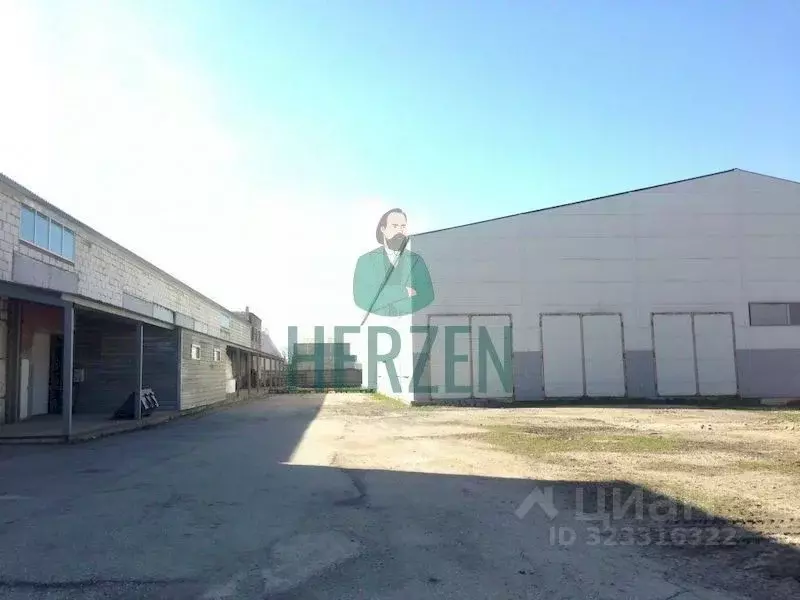 Производственное помещение в Московская область, Истра муниципальный ... - Фото 1