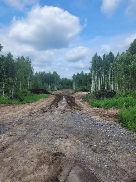 Участок в Тюменская область, Тюменский район, д. Решетникова, ... - Фото 1