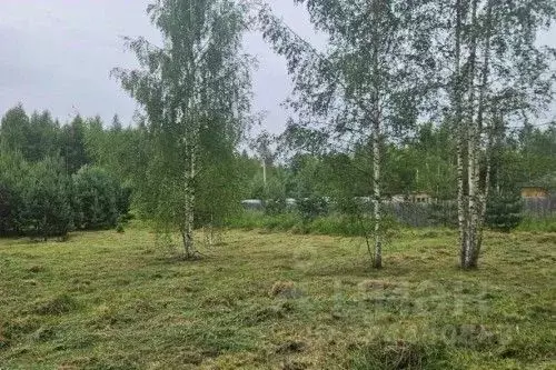 Участок в Новгородская область, Новгородский район, Савинское с/пос, ... - Фото 2