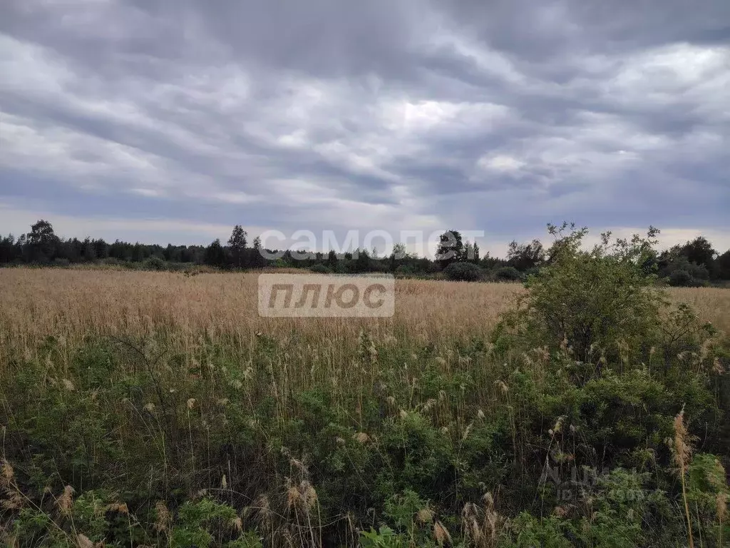 Участок в Тюменская область, Тюмень  (7.2 сот.) - Фото 0