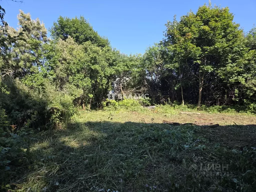 Участок в Московская область, Солнечногорск городской округ, с. ... - Фото 2