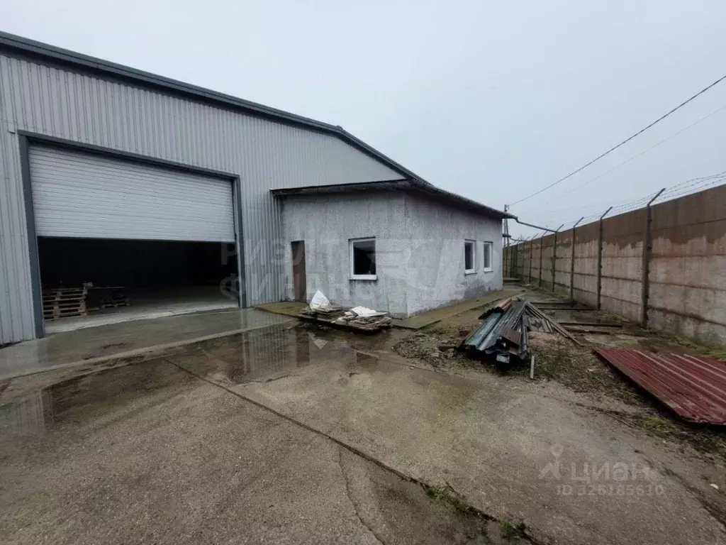 Помещение свободного назначения в Калининградская область, Гурьевский ... - Фото 1