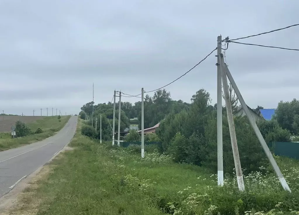 Участок в Московская область, Кашира городской округ, д. Острога ул. ... - Фото 2
