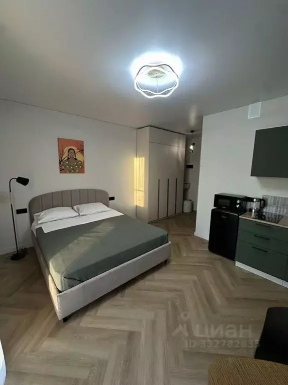 Студия Санкт-Петербург просп. Энгельса, 29 (24.7 м) - Фото 2