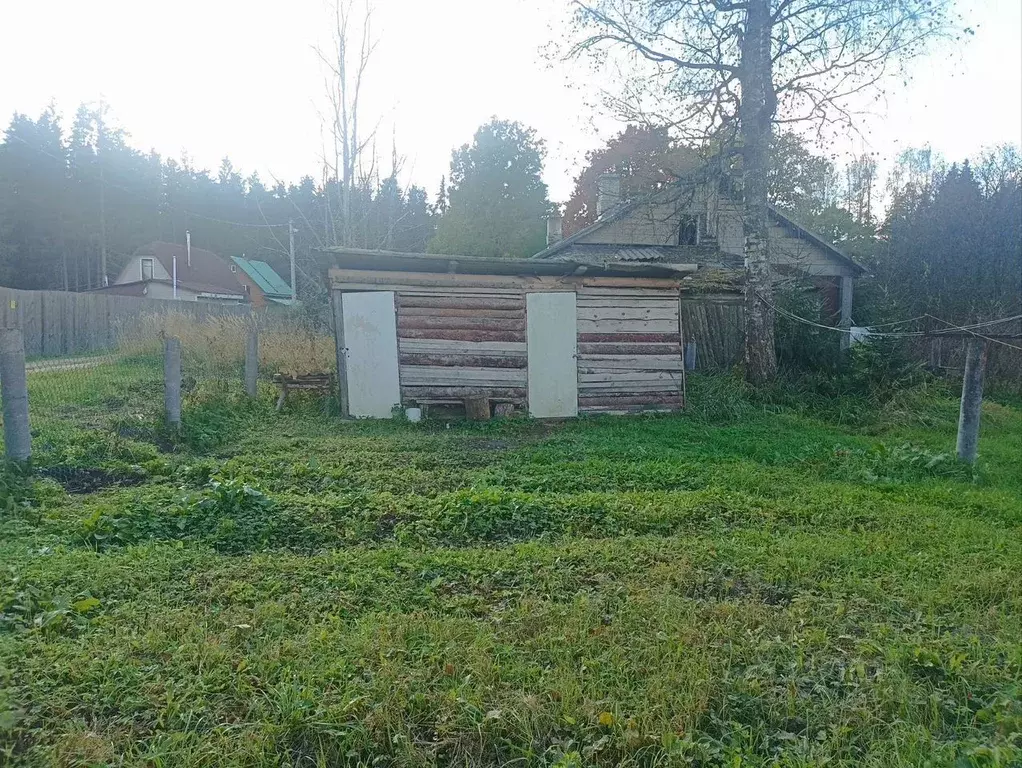 1-к кв. Ленинградская область, Лужский район, Толмачево городской ... - Фото 2