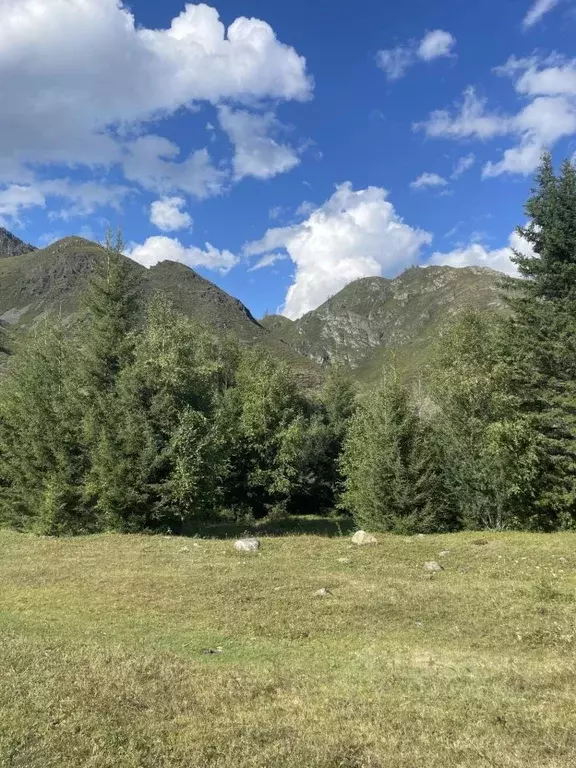 Дом в Алтай, Онгудайский район, с. Купчегень  (16 м) - Фото 1