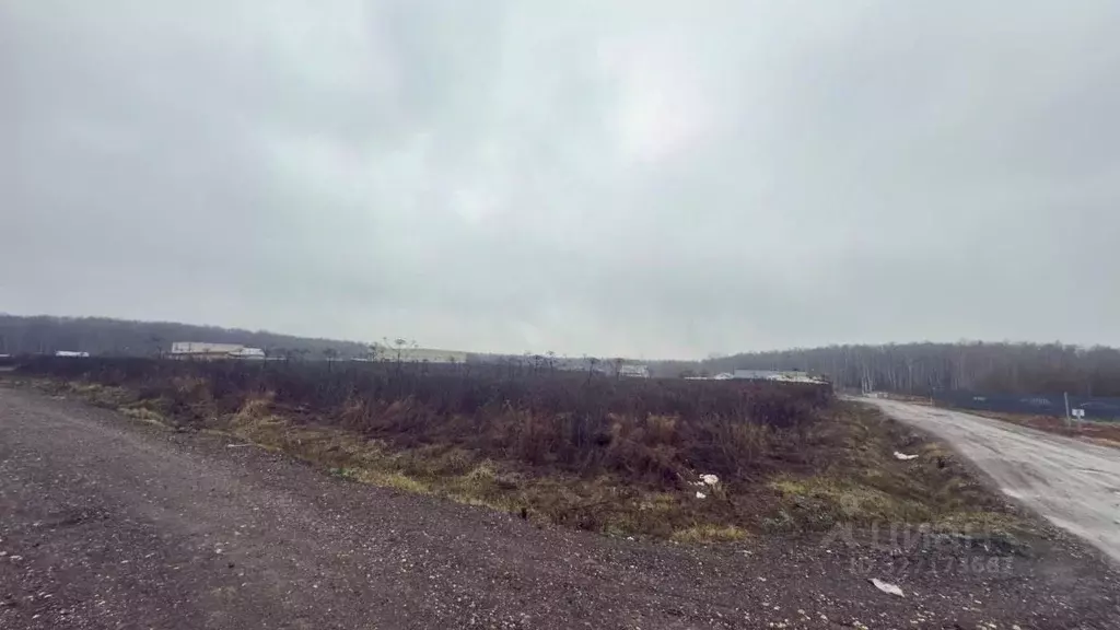 Участок в Московская область, Домодедово городской округ, с. Юсупово ... - Фото 1