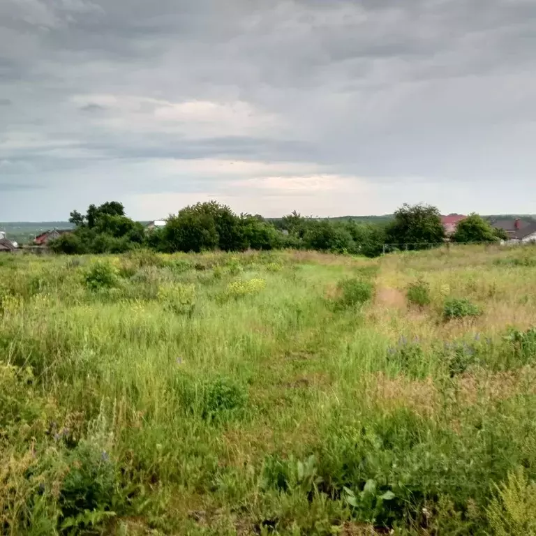 Богословский сельсовет. Пензенский район деревня Ахлебиновка. Купить земельный участок в Пензе в Богословке.