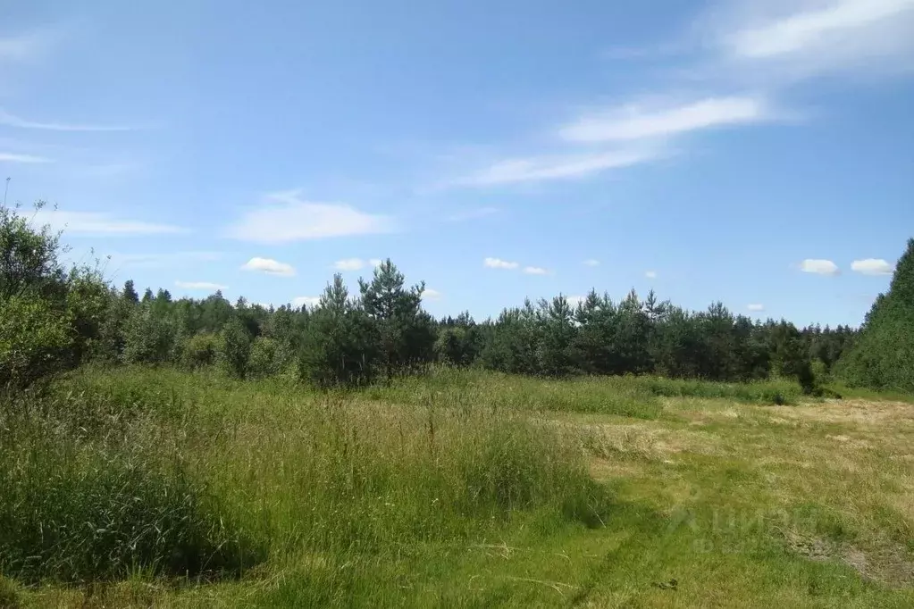 Участок в Ленинградская область, Выборгский район, Красносельское ... - Фото 1