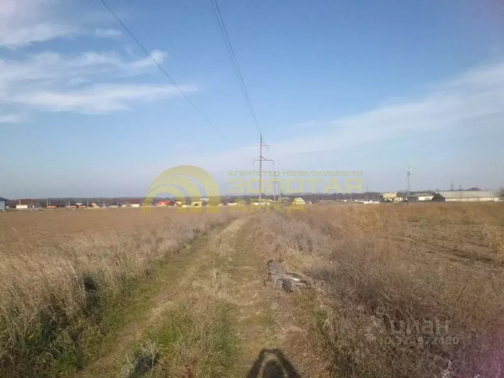Участок в Краснодарский край, Темрюкский район, Запорожская ст-ца ул. ... - Фото 2