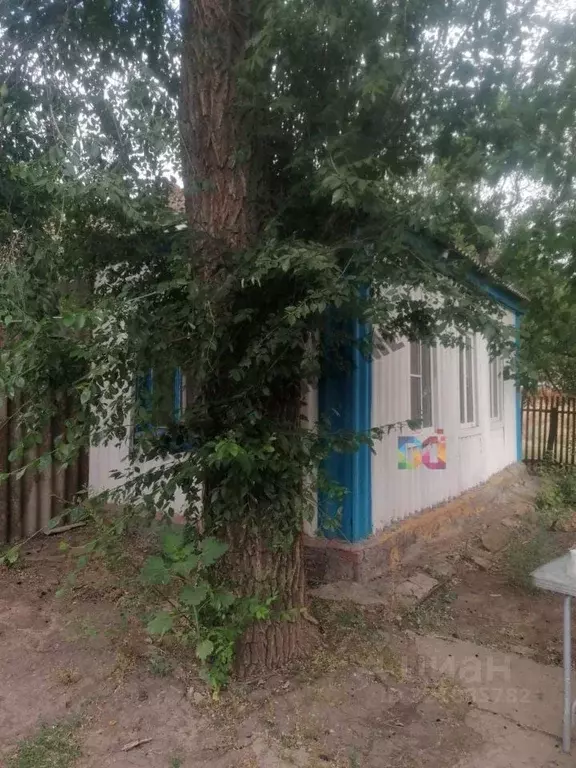 Дом в Калмыкия, Яшалтинский район, Березовское с/мо, с. Краснополье ... - Фото 1