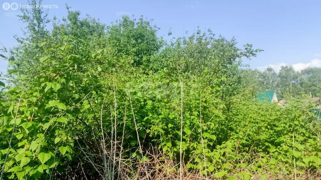 Участок в село Вятское, улица Клюшниково (7.5 м) - Фото 1
