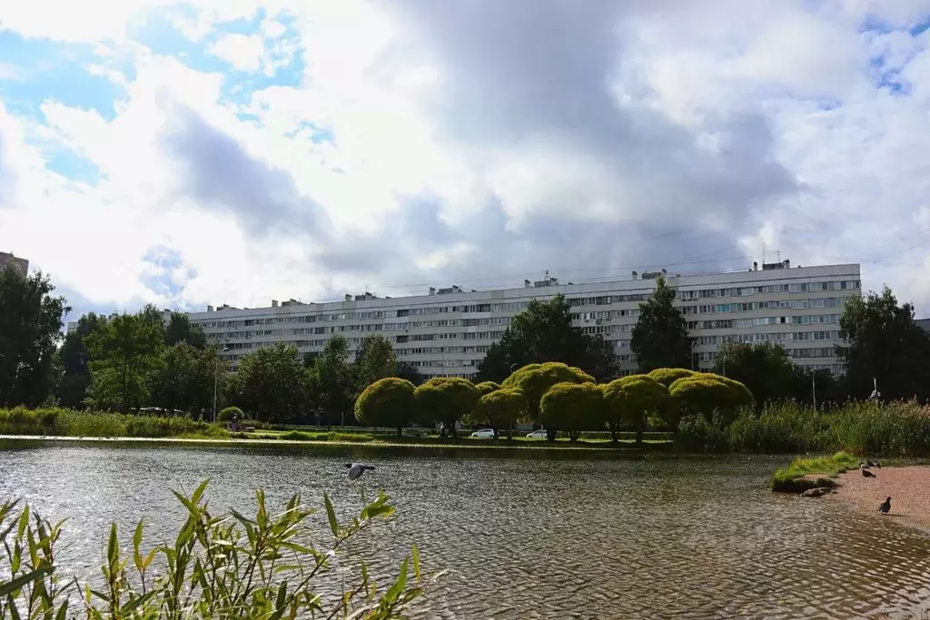 Комната Санкт-Петербург ул. Демьяна Бедного, 16к1 (13.4 м) - Фото 2