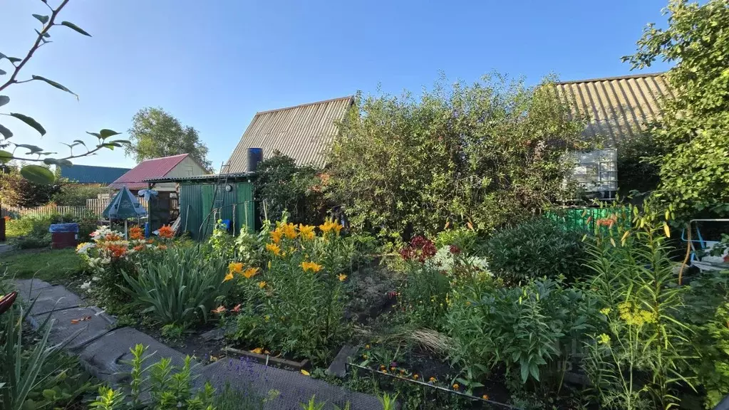 Дом в Омская область, Омск Строитель СНТ,  (45 м) - Фото 2