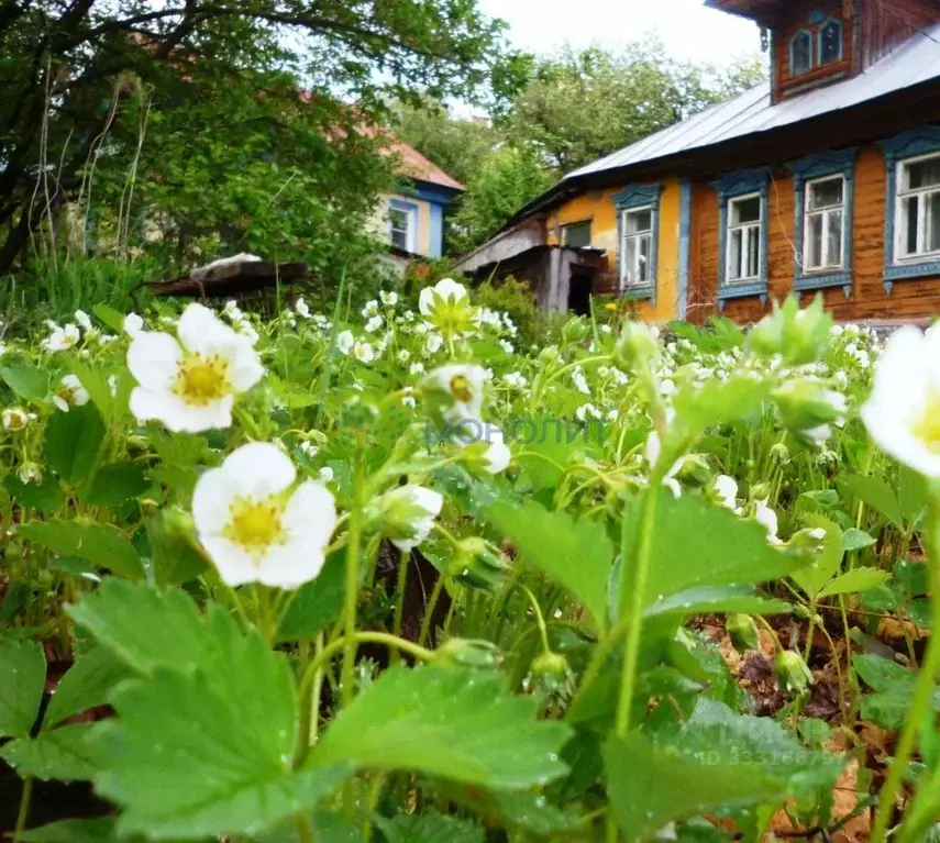 Дом в Нижегородская область, Нижний Новгород Полярная ул. (78 м) - Фото 2