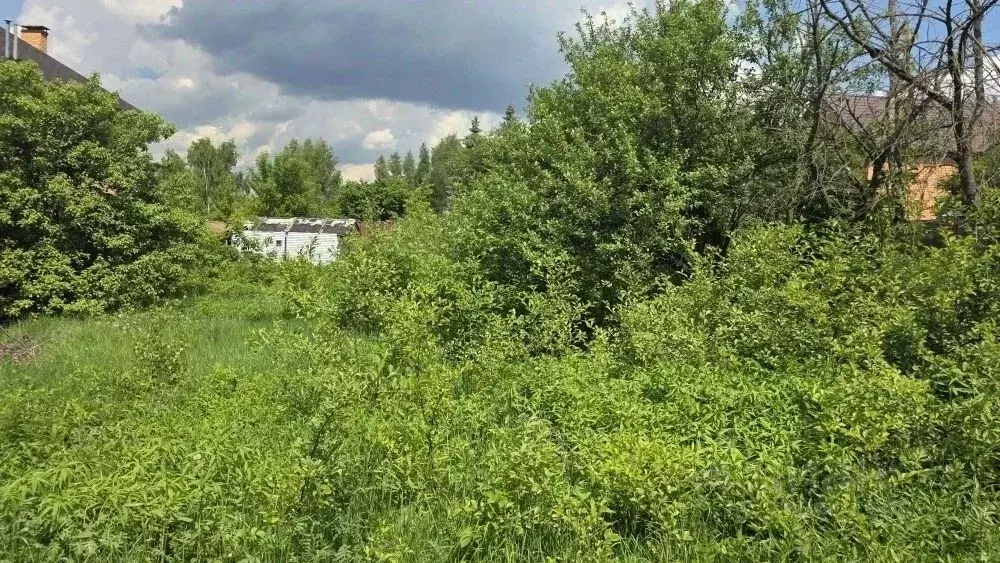 Участок в Московская область, Раменский муниципальный округ, д. ... - Фото 1