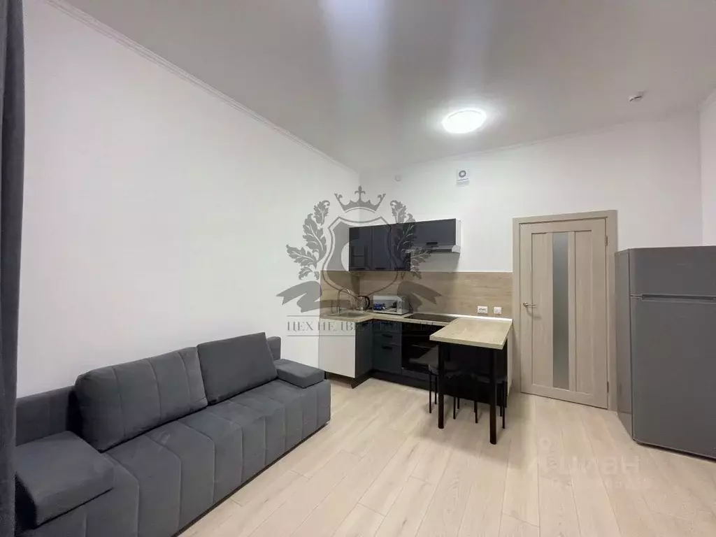 Студия Ленинградская область, Мурино Всеволожский район, просп. ... - Фото 0