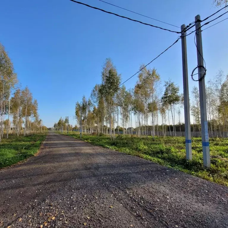 Участок в Московская область, Дмитровский муниципальный округ, пос. ... - Фото 1