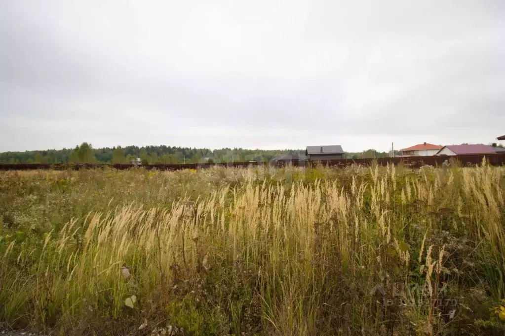 Участок в Калужская область, Перемышльский район, Большие Козлы с/пос, ... - Фото 2