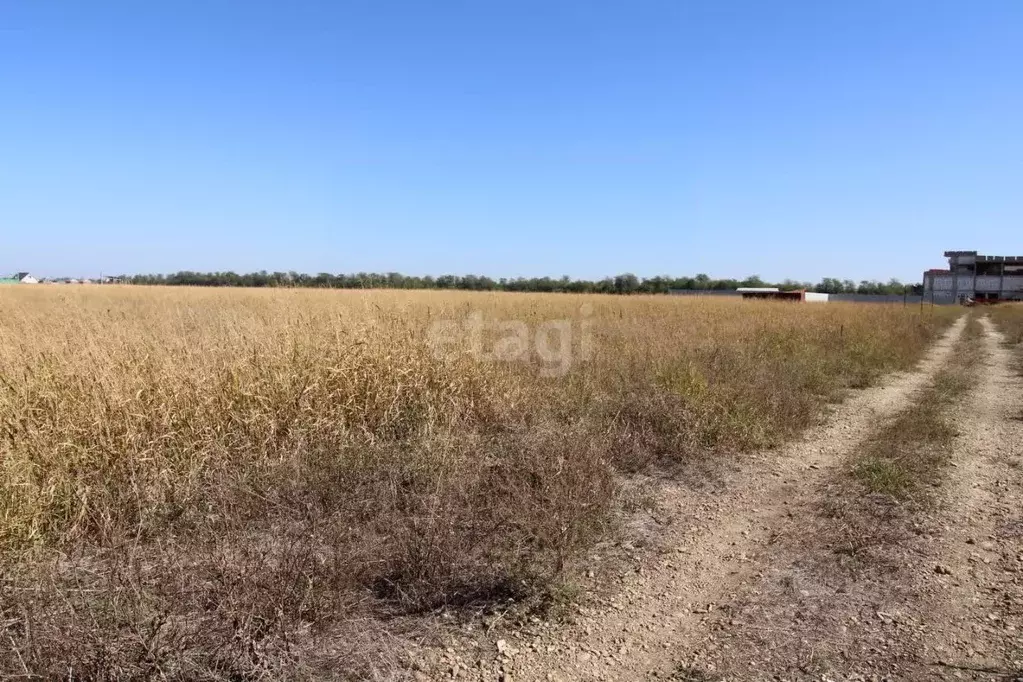 Участок в Краснодарский край, Краснодар муниципальное образование, ... - Фото 1