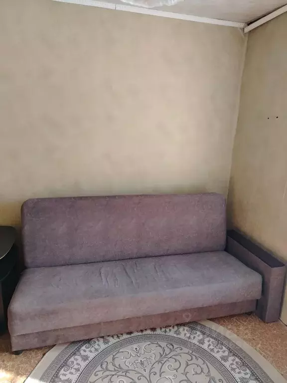 Студия Алтайский край, Барнаул ул. Эмилии Алексеевой, 5к2 (12.4 м) - Фото 2