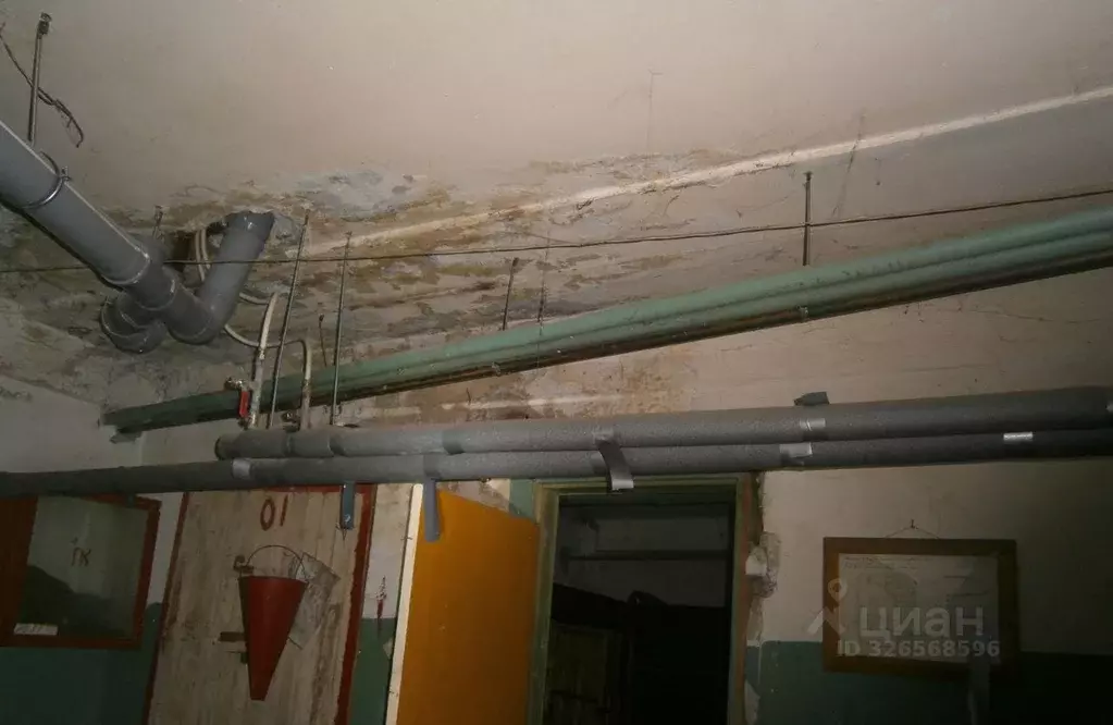 Помещение свободного назначения в Новосибирская область, Новосибирск ... - Фото 1