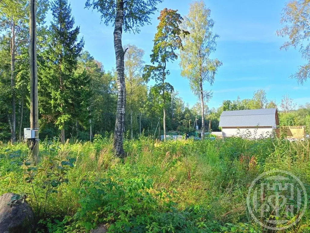 Участок в Ленинградская область, Выборгский район, Красносельское ... - Фото 2