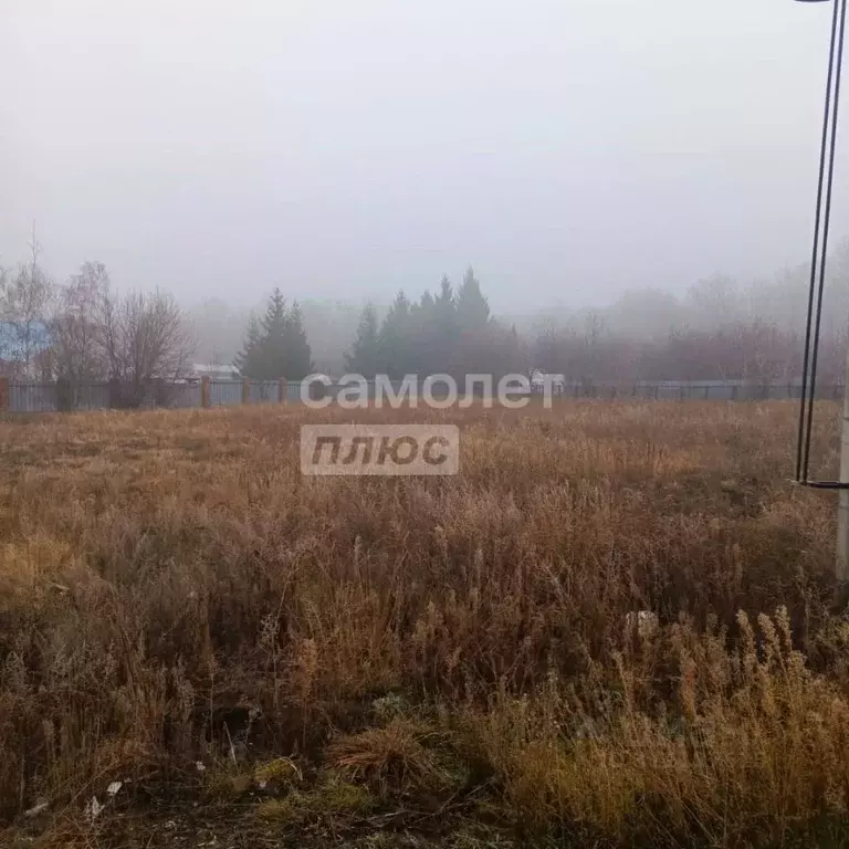 Участок в Воронежская область, Семилукский район, с. Губарево Лесная ... - Фото 0