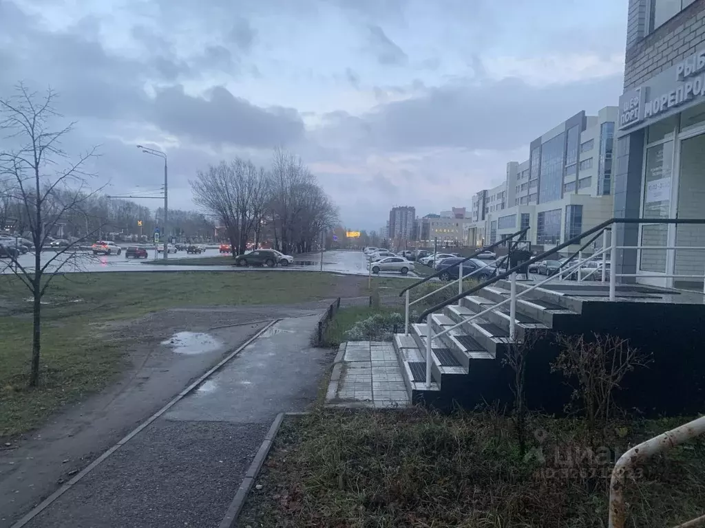 Помещение свободного назначения в Татарстан, Казань просп. Ямашева, 29 ... - Фото 2