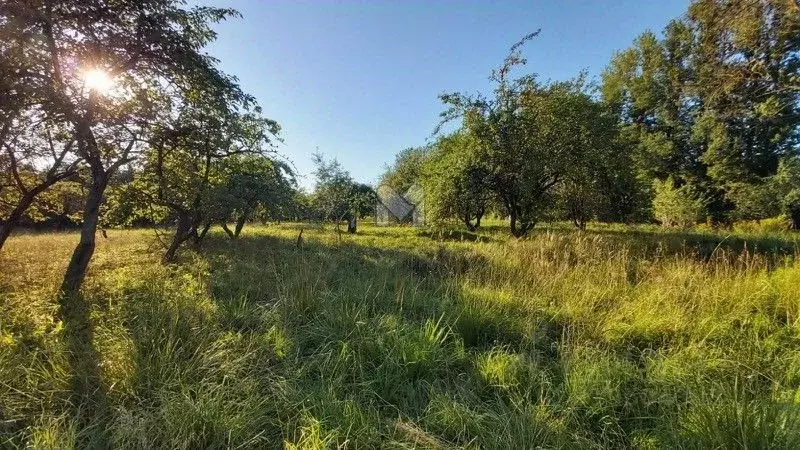 Участок в Ленинградская область, Сланцы ул. Ломоносова, 2Б (22.0 сот.) - Фото 1