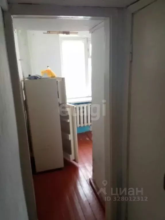 1-к кв. Челябинская область, Пластовский муниципальный округ, с. ... - Фото 1