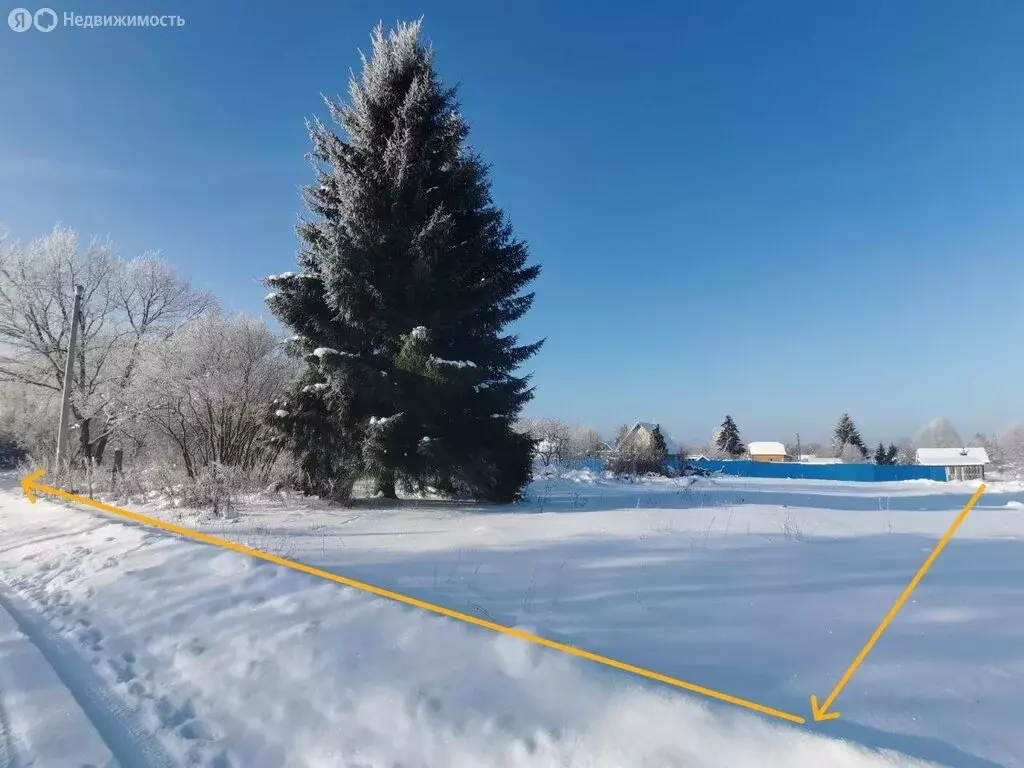 Участок в Вындиноостровское сельское поселение, деревня Хотово, 46 (16 ... - Фото 2