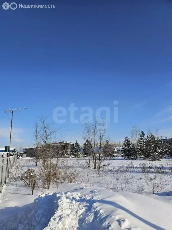 Участок в Новоусманский район, село Бабяково (18.58 м) - Фото 2