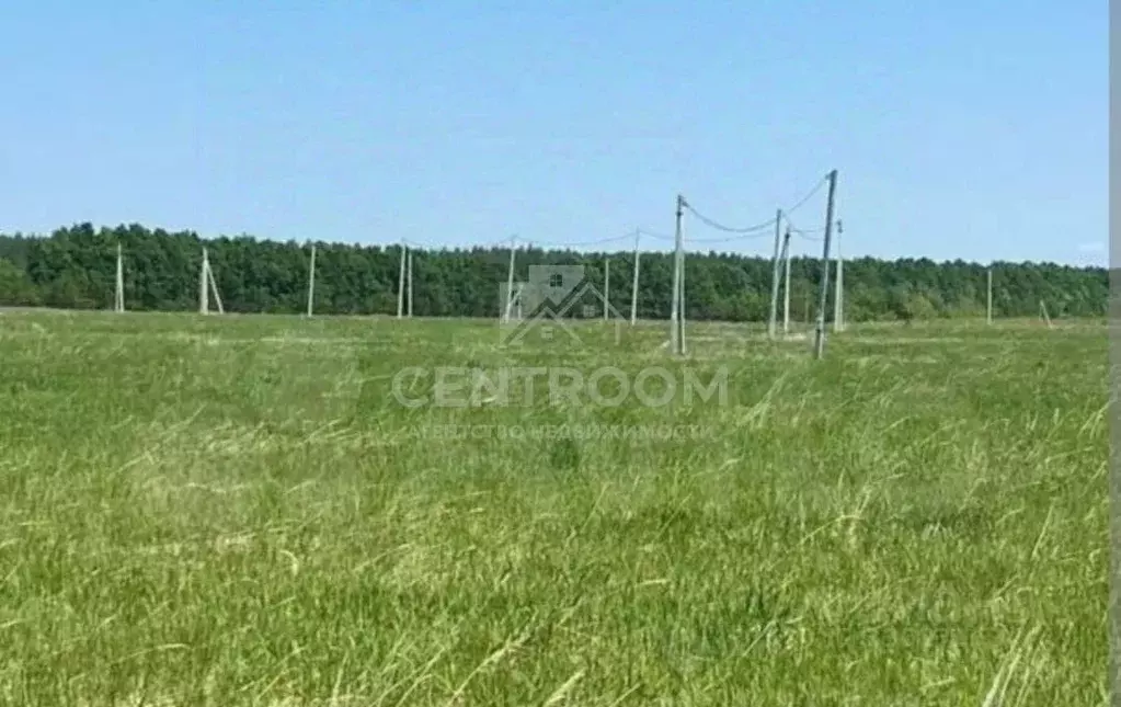 Участок в Татарстан, Лаишевский район, Чирповское с/пос, Богородский ... - Фото 1
