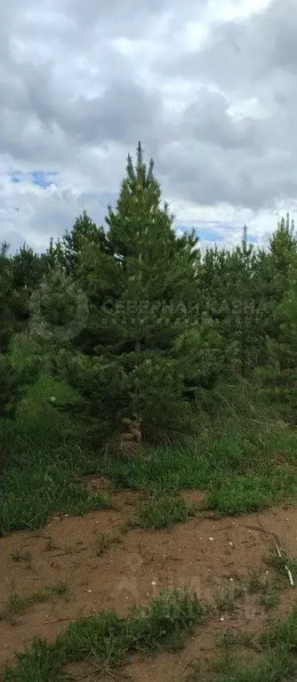 Коттедж в Свердловская область, Березовский городской округ, пос. ... - Фото 1