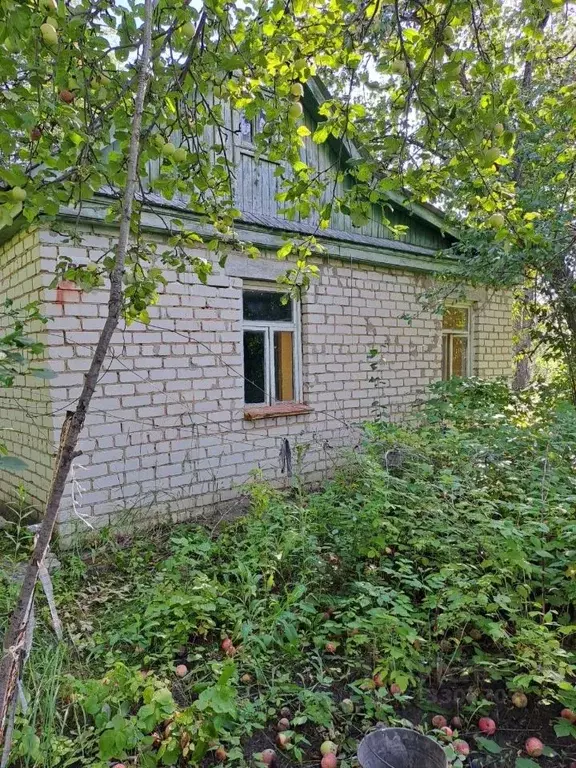 Дом в Ульяновская область, Ульяновск Средняя Радуга СНТ,  (50 м) - Фото 1