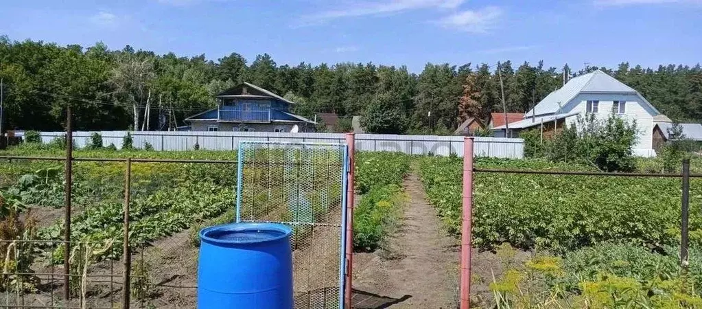 Участок в Алтайский край, Барнаул городской округ, пос. Ягодное ул. ... - Фото 2