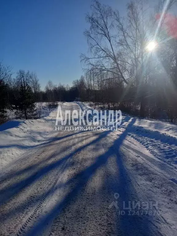 Участок в Ленинградская область, Выборг ул. Малая Сосновая (1220.0 ... - Фото 0