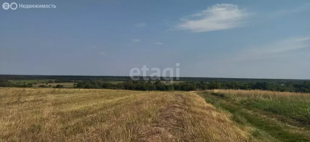 Участок в Брянская область, Жуковский муниципальный округ, село Овстуг ... - Фото 1