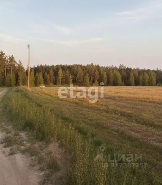 Участок в Свердловская область, Ревда муниципальный округ, с. Кунгурка ... - Фото 0