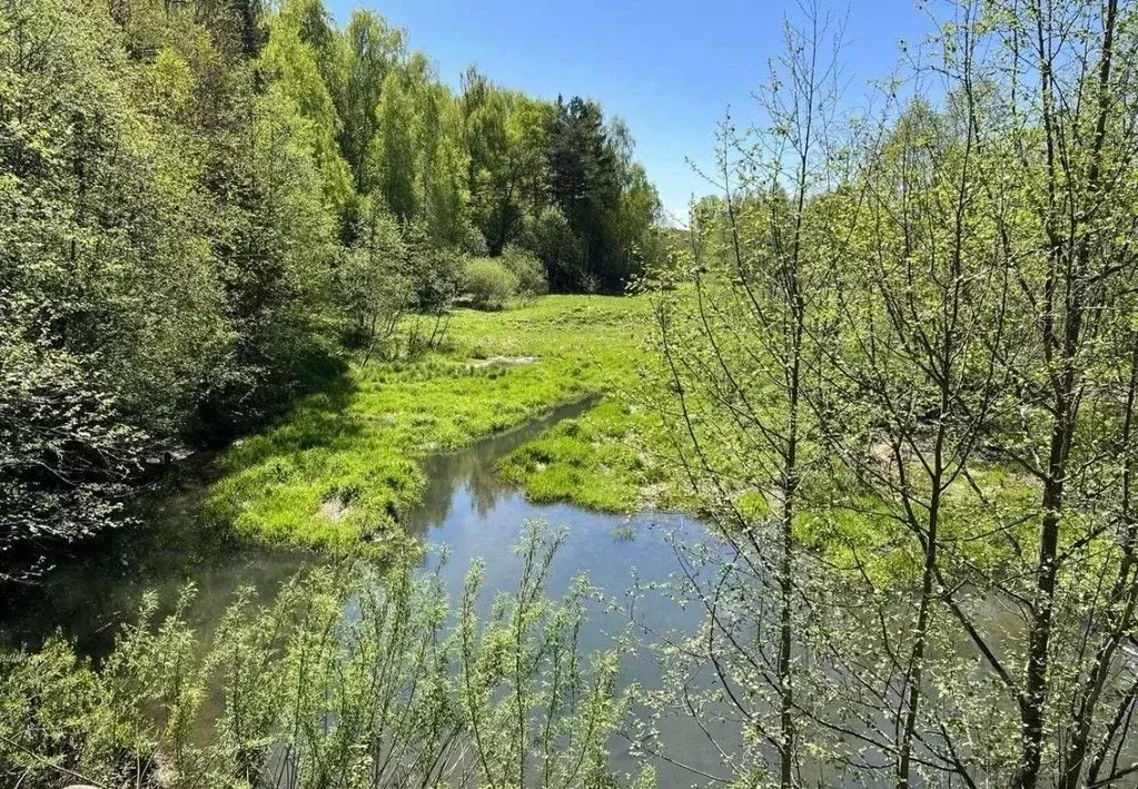 Участок в Московская область, Одинцовский городской округ, д. ... - Фото 2