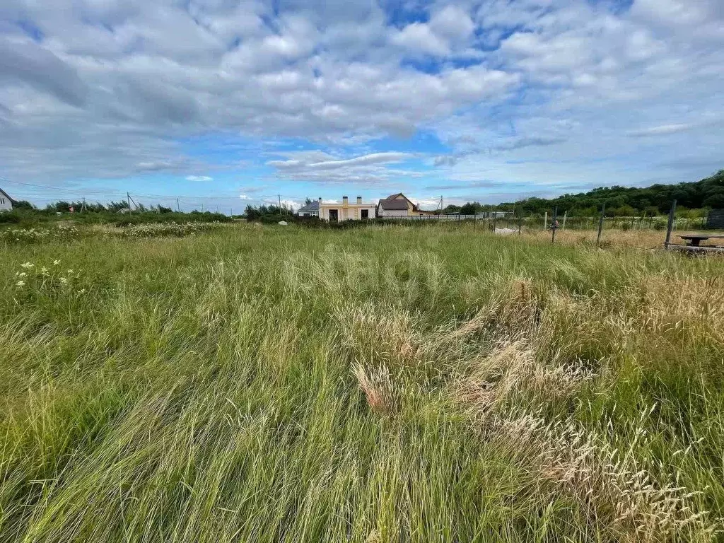 Участок в Калининградская область, Зеленоградский муниципальный округ, ... - Фото 2